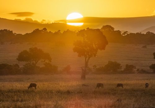 7-days-kenya-premium-safari-banner